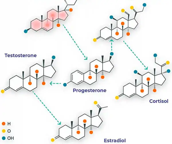 Bioidentical vs Synthetic Hormones: Complete Comparison Guide