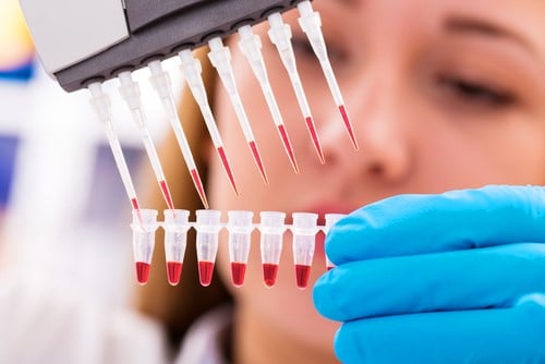 Are Stem Cells the Future of Medicine?