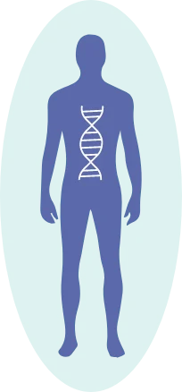 human body dna