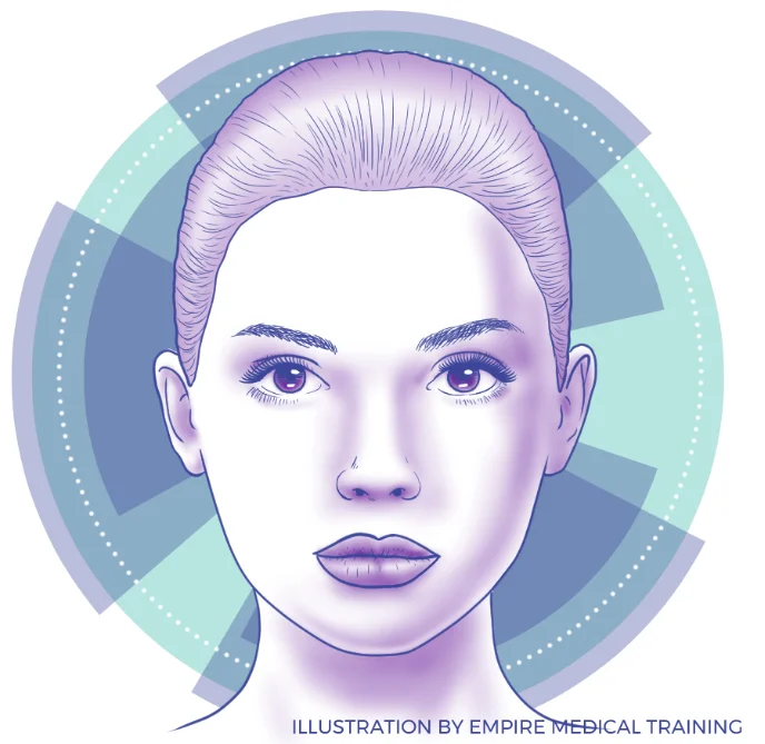 botox face chart