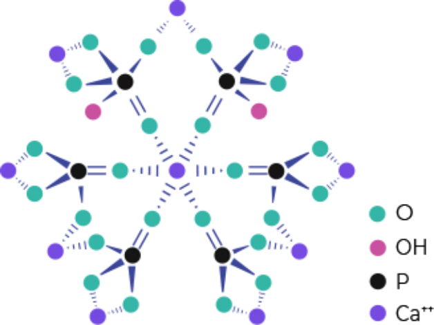 Calcium Hydroxylapatite