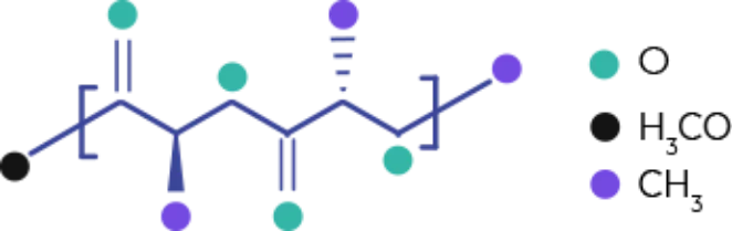 Poly-L-lactic Acid