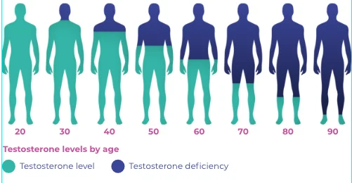 testosterone level during aging