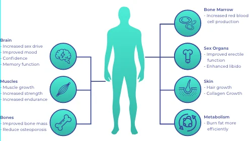 aging effects on man