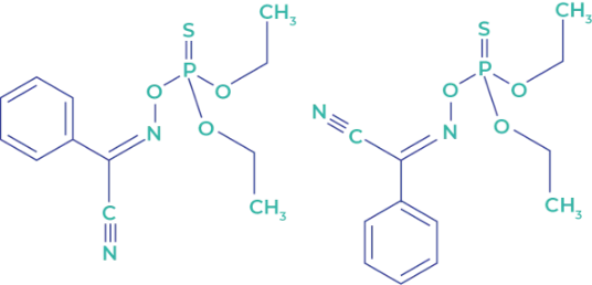botox molecule