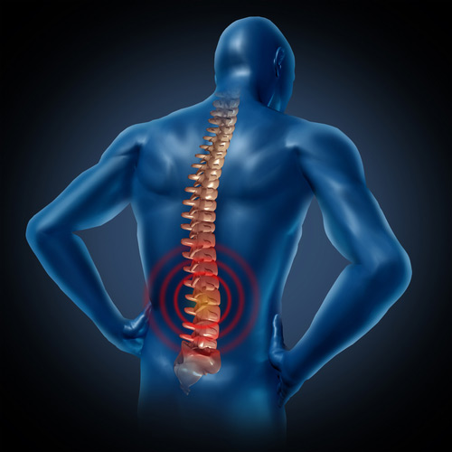 Spinal Manipulation Training