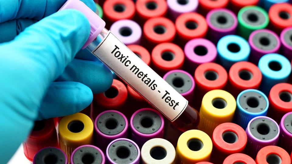 Heavy Metals and Chronic Illness Training Picture