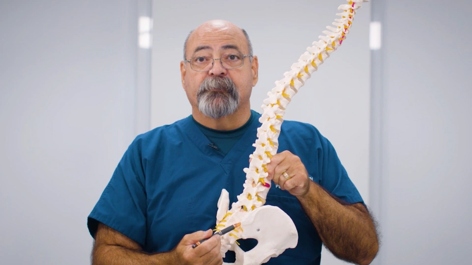 Spinal Manipulation Therapies for Functional Pain Management Picture