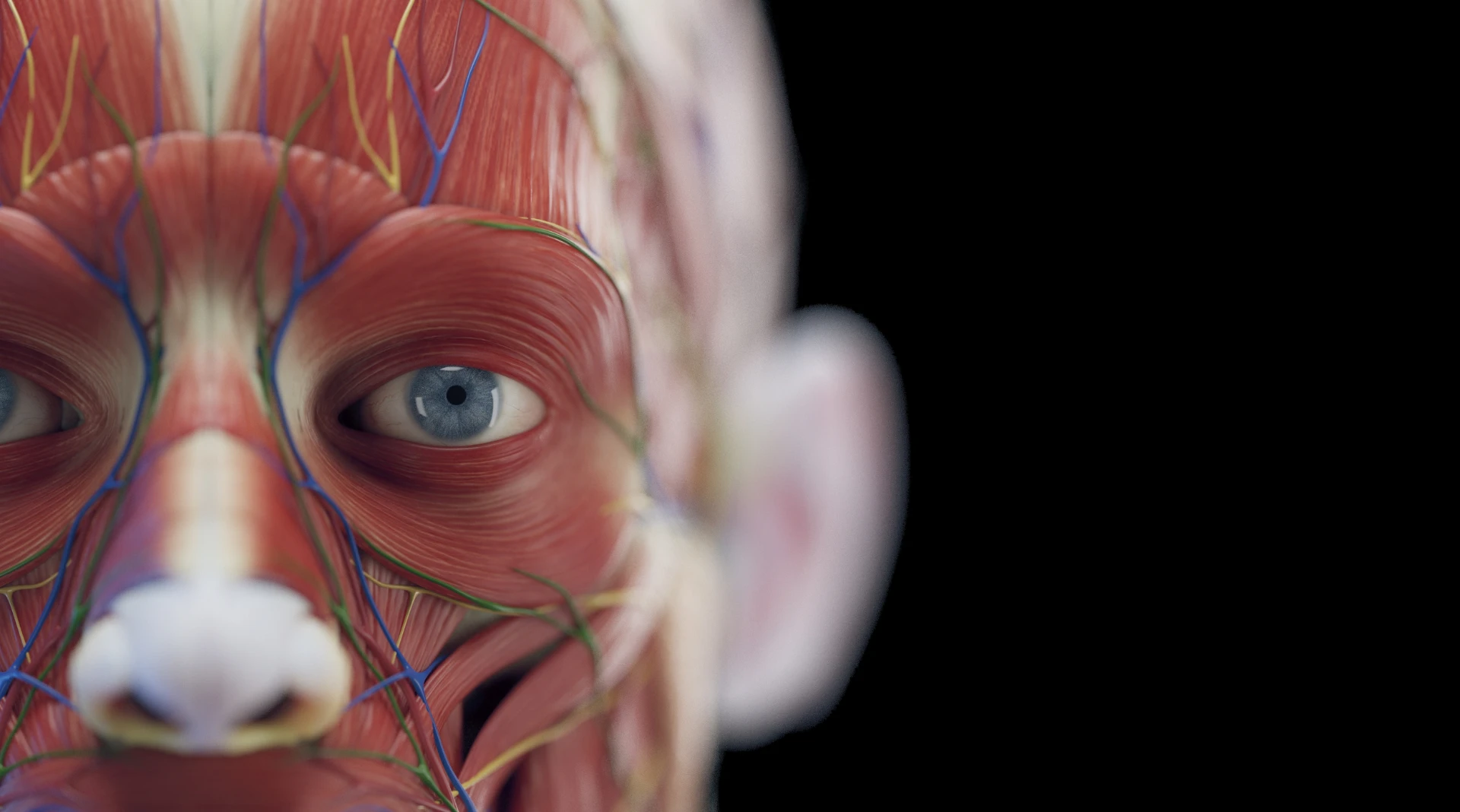 Course Workshop Background