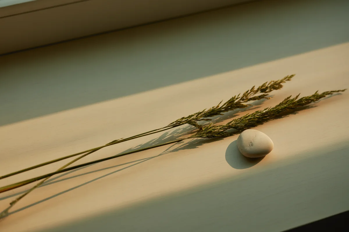 Two slender dried grass stems lying close together in parallel casting fine shadows on a pale surface