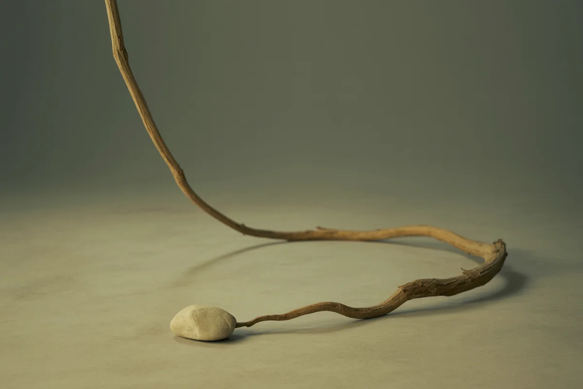 A single dried vine trailing in a continuous tapering curve across a pale surface beside a small stone
